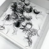 Premade Lash Extensions | 5D AVARI BEAUTY