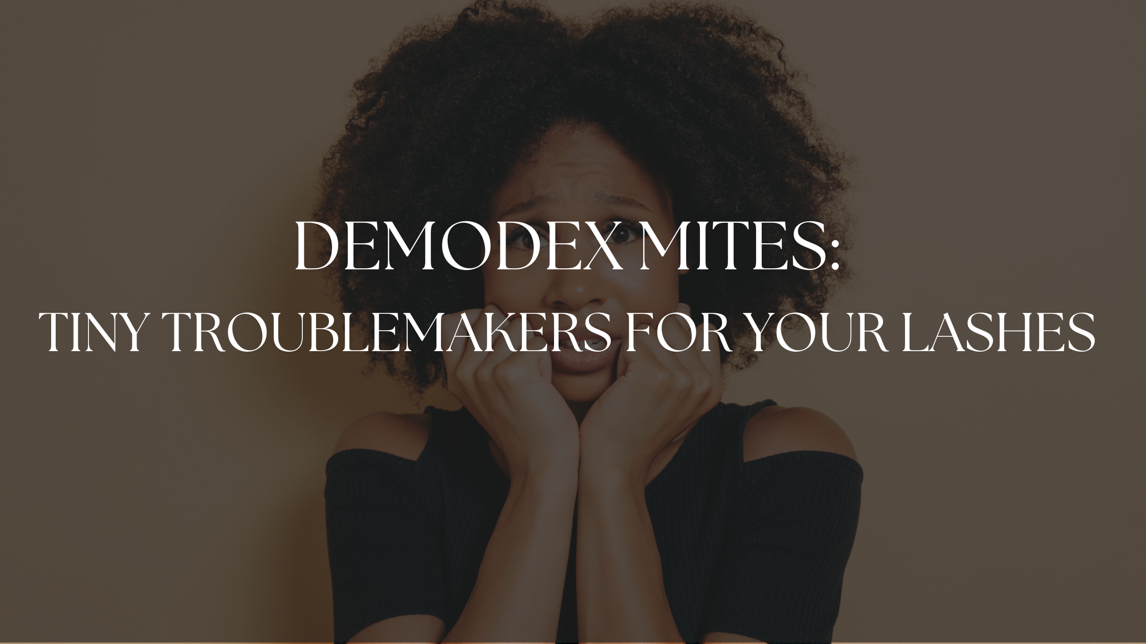 Demodex Mites: The Tiny Troublemakers of Your Lash Nightmares!